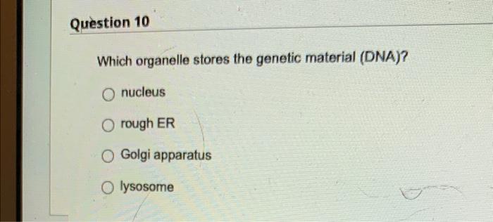 Question 6 What Term Describes The Variation In Physical Appearances Trait O Gene O Genome O Genotype Question 8 How I 4