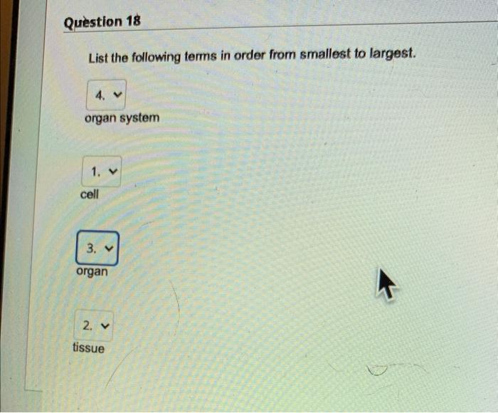Question 17 Which Organ System Is Shown Brain Spinal Cord Peripheral Nerves O Circulatory O Nervous Cardiovascular O Sk 2