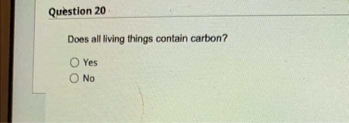 Question 17 Which Organ System Is Shown Brain Spinal Cord Peripheral Nerves O Circulatory O Nervous Cardiovascular O Sk 4