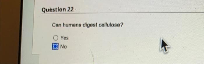Question 22 Can Humans Digest Cellulose Oyes No Question 23 Which Of The Following Is Not A Common Element In Organic 1