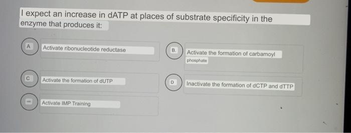 I Expect An Increase In Datp At Places Of Substrate Specificity In The Enzyme That Produces It Activate Ribonucleotide 1