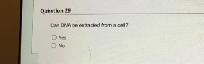 Question 27 Can A Mutation Have A Beneficial Effect O Yes No Question 28 A Virion Is A Virus That Is Not Inside Of A H 3