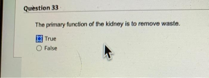 Question 33 The Primary Function Of The Kidney Is To Remove Waste True O False Question 34 All Adult Bones Contain Yel 1