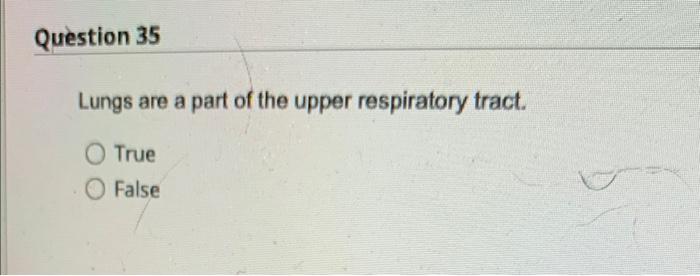Question 33 The Primary Function Of The Kidney Is To Remove Waste True O False Question 34 All Adult Bones Contain Yel 3