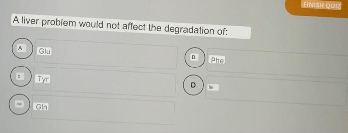 A Liver Problem Would Not Affect The Degradation Of Glu Tyr Gin D Phe Ble Finish Quiz 1