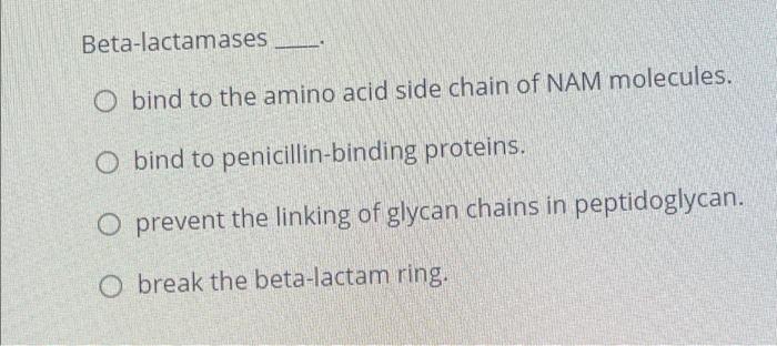 Beta Lactamases O Bind To The Amino Acid Side Chain Of Nam Molecules O Bind To Penicillin Binding Proteins O Prevent T 1
