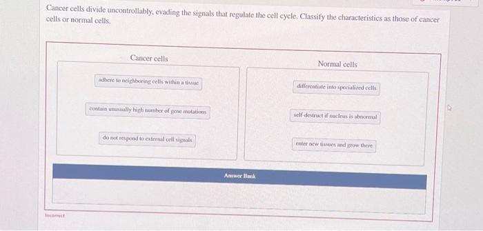 Cancer Cells Divide Uncontrollably Evading The Signals That Regulate The Cell Cycle Classify The Characteristics As Th 1