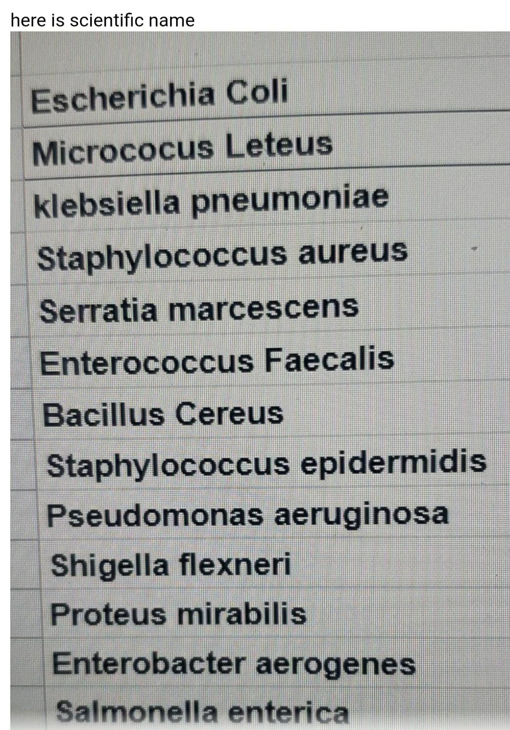Instructions For Generating A Flow Chart And Dichotomous Key Will Be Given During Lab On Thursday June 23rd Your Dicho 2