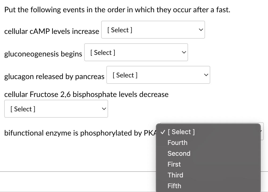 Put The Following Events In The Order In Which They Occur After A Fast Cellular Camp Levels Increase Select Gluconeog 1