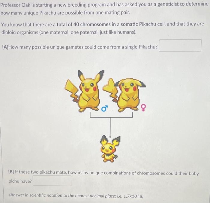 Professor Oak Is Starting A New Breeding Program And Has Asked You As A Geneticist To Determine How Many Unique Pikachu 1