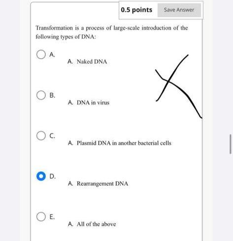 Hey Can You Please Correct The Answers To The Questions Below Thank You 1