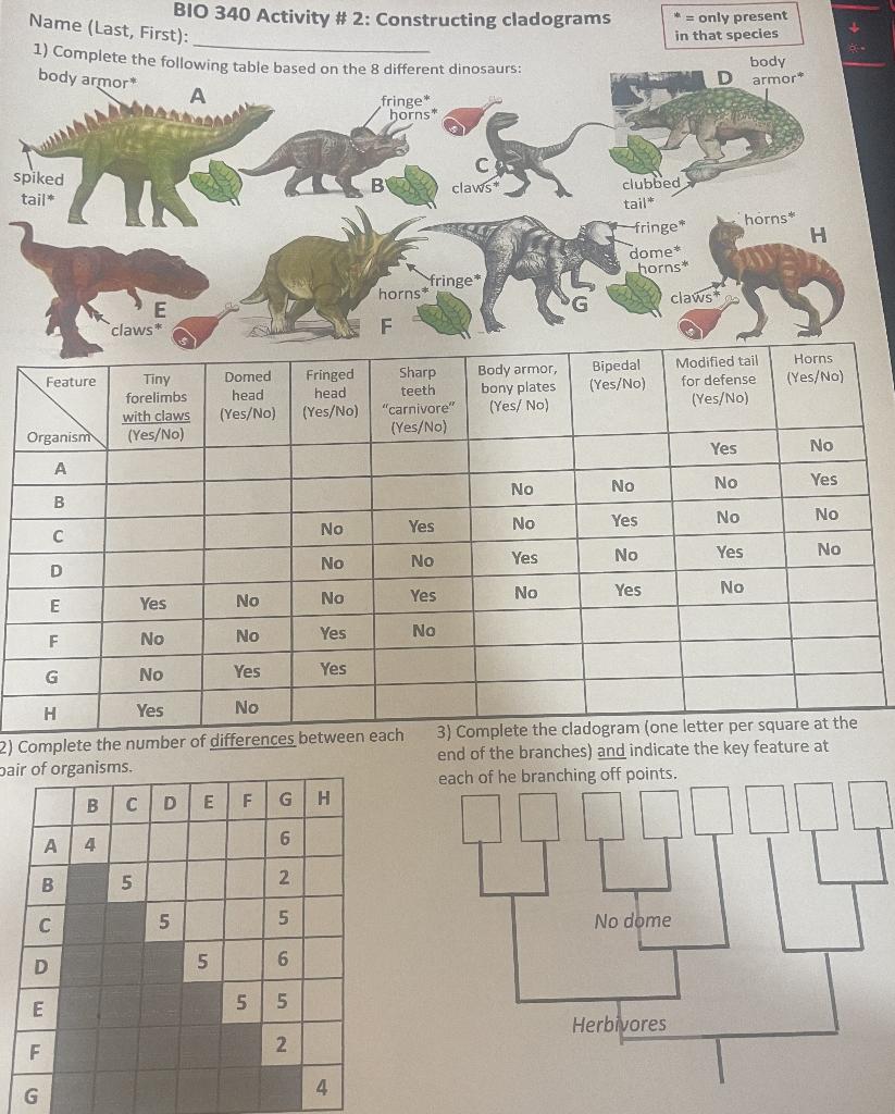 Name Last First 1 Complete The Following Table Based On The 8 Different Dinosaurs Body Armor Spiked Tail Organis 1