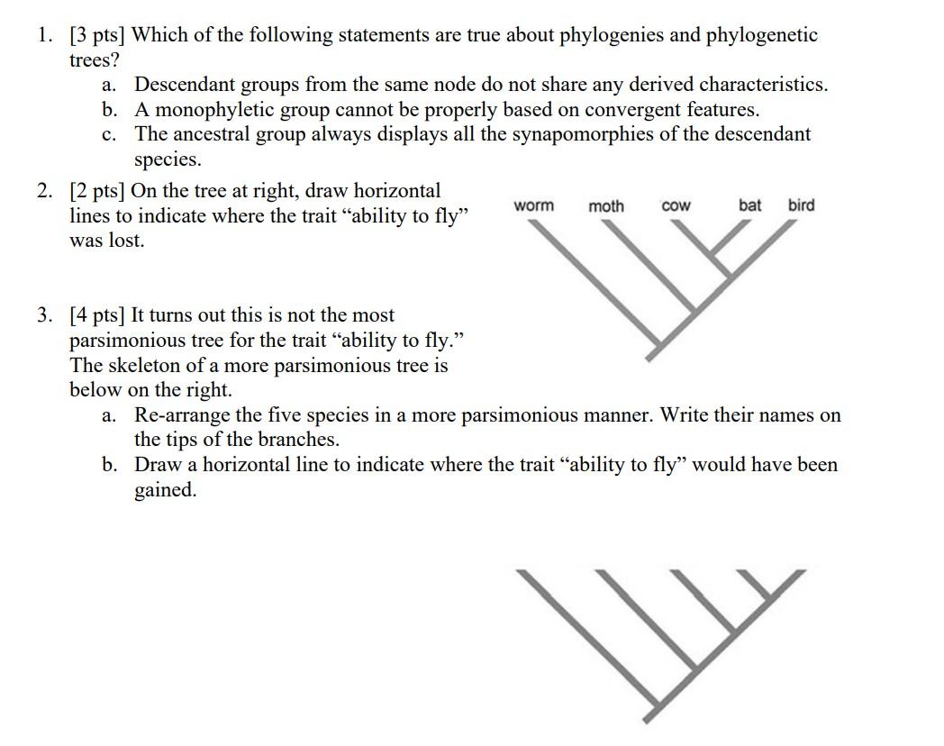 1 3 Pts Which Of The Following Statements Are True About Phylogenies And Phylogenetic Trees A Descendant Groups Fro 1