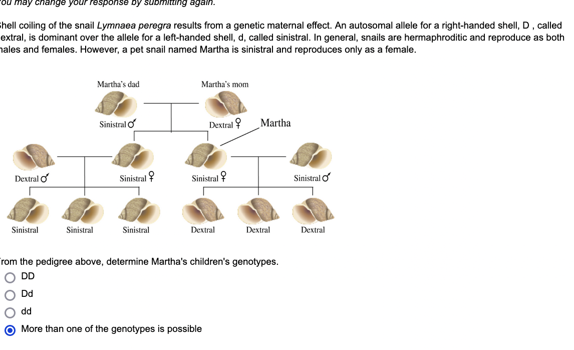 Ou May Change Your Response By Submitting Again Hell Coiling Of The Snail Lymnaea Peregra Results From A Genetic Matern 1