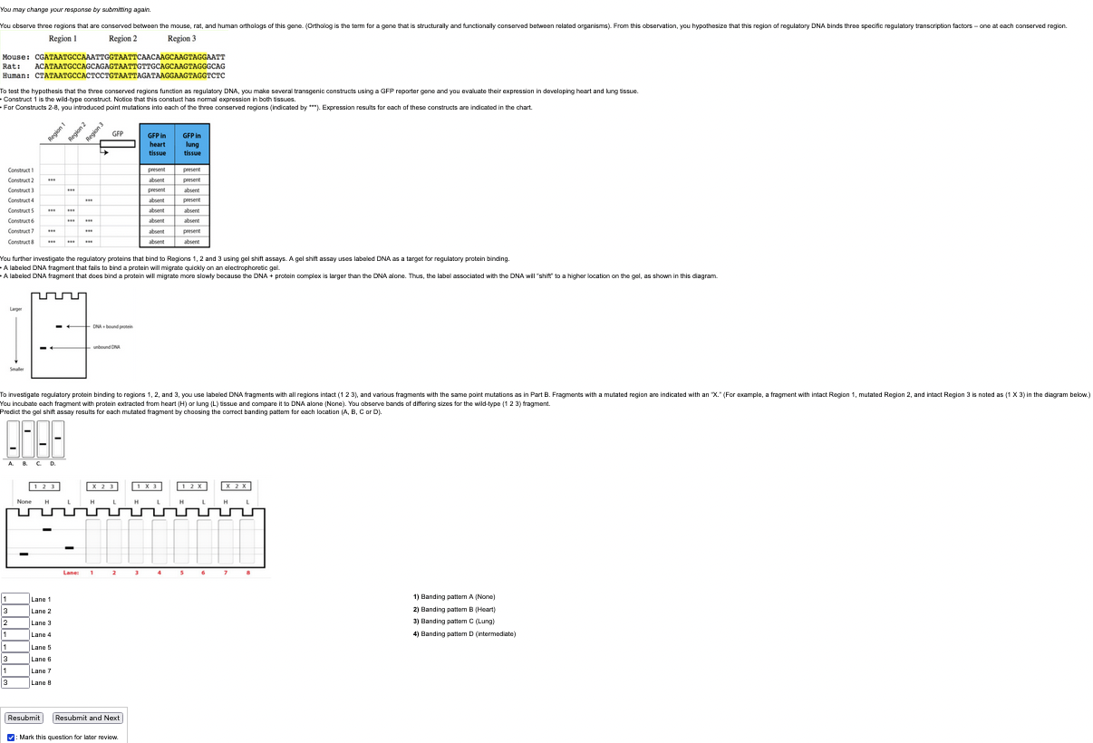 You May Change Your Response By Submitting Again You Observe Three Regions That Are Conserved Between The Mouse Rat A 1