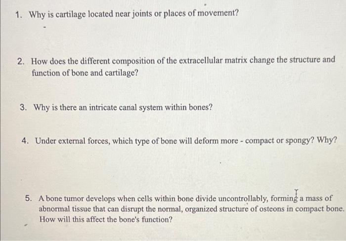 1 Why Is Cartilage Located Near Joints Or Places Of Movement 2 How Does The Different Composition Of The Extracellula 1
