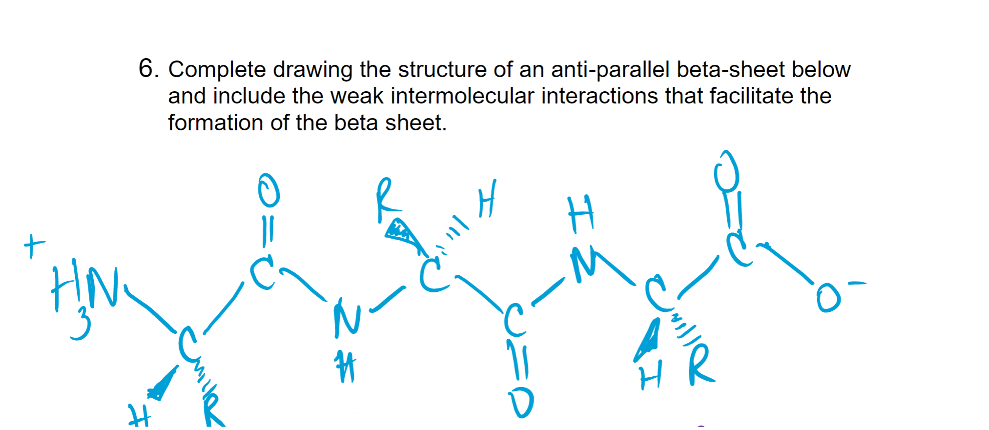 Han 6 Complete Drawing The Structure Of An Anti Parallel Beta Sheet Below And Include The Weak Intermolecular Interac 1