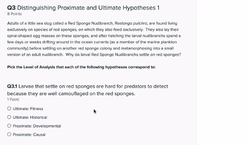 Q3 Distinguishing Proximate And Ultimate Hypotheses 1 8 Points Adults Of A Little Sea Slug Called A Red Sponge Nudibranc 1