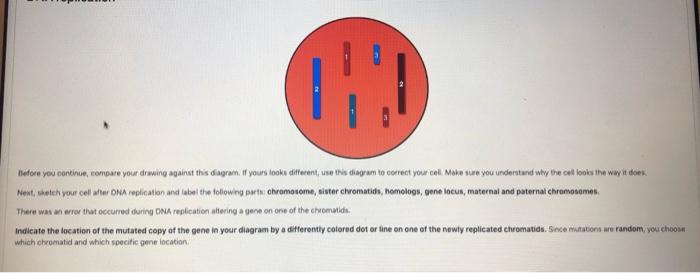 Before You Continue Compare Your Drawing Against This Diagram If Yours Looks Different Use This Diagram To Correct Yo 1