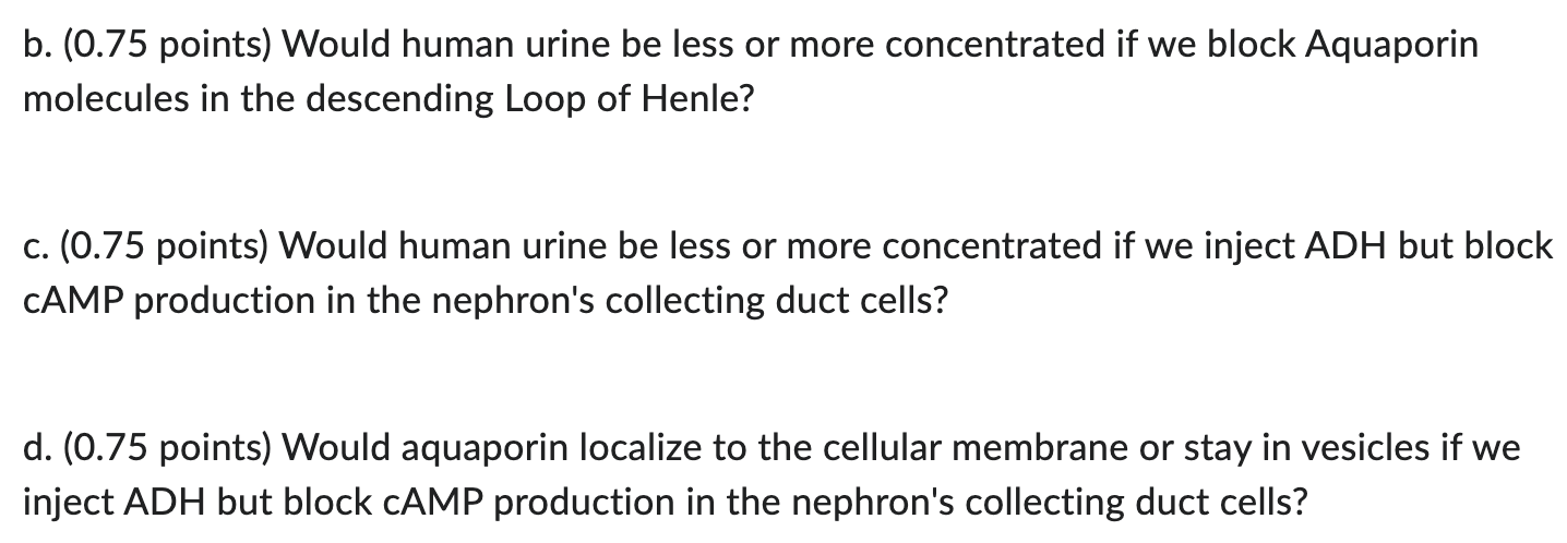 B 0 75 Points Would Human Urine Be Less Or More Concentrated If We Block Aquaporin Molecules In The Descending Loop O 1