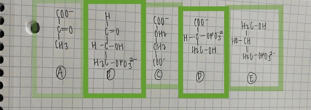 Which One Of These Compound Oxides Reduce Nicotinamide Adenine Dinucleotide In The Cytosol A E 1