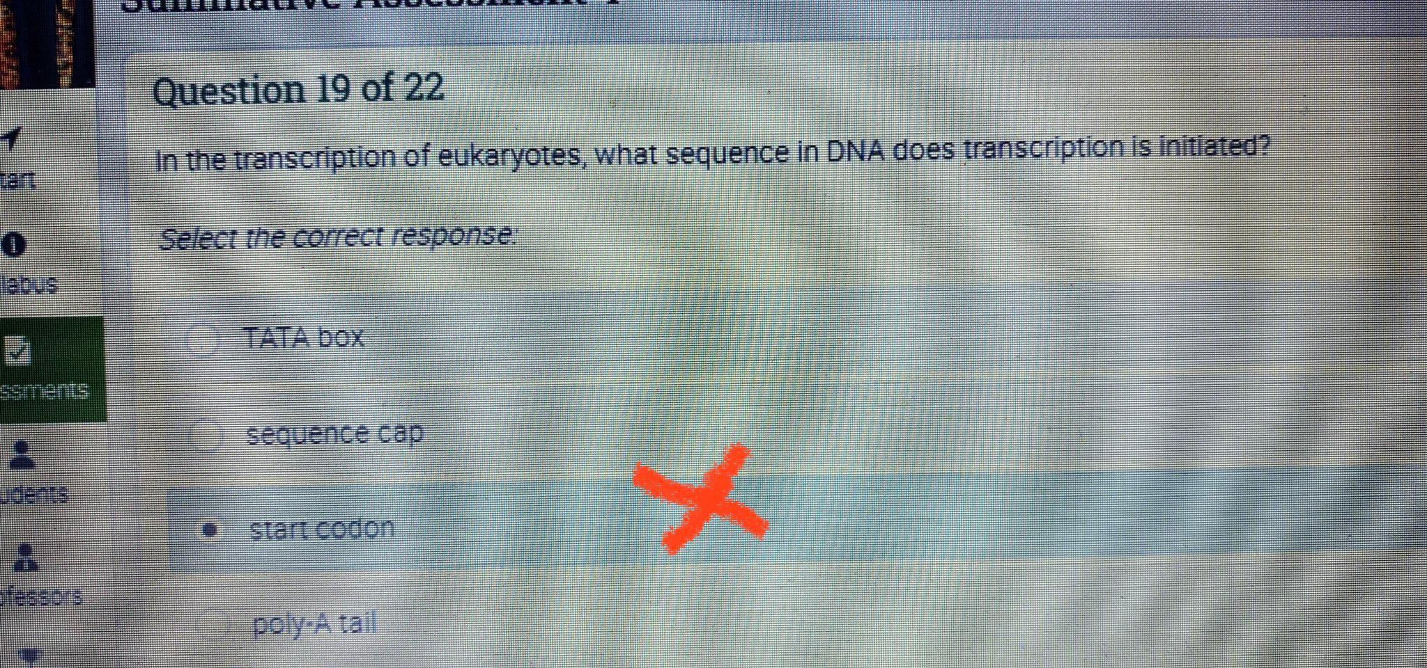 Ssments A R Question 19 Of 22 In The Transcription Of Eukaryotes What Sequence In Dna Does Transcription Is Initiated 1