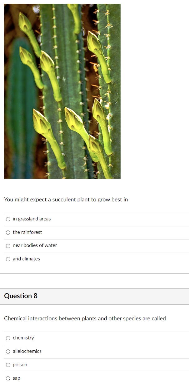 You Might Expect A Succulent Plant To Grow Best In O In Grassland Areas O The Rainforest O Near Bodies Of Water O Arid C 1