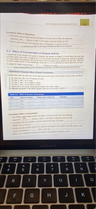 30 Conclusions Effect Of Temperature The Bubble Highest Of Support Yo 5 3 Effect Of Concentration On Enzyme Activity T 1