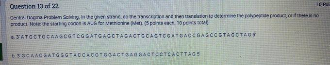 10 Poi Question 13 Of 22 Central Dogma Problem Solving In The Given Strand Do The Transcription And Then Translation T 1