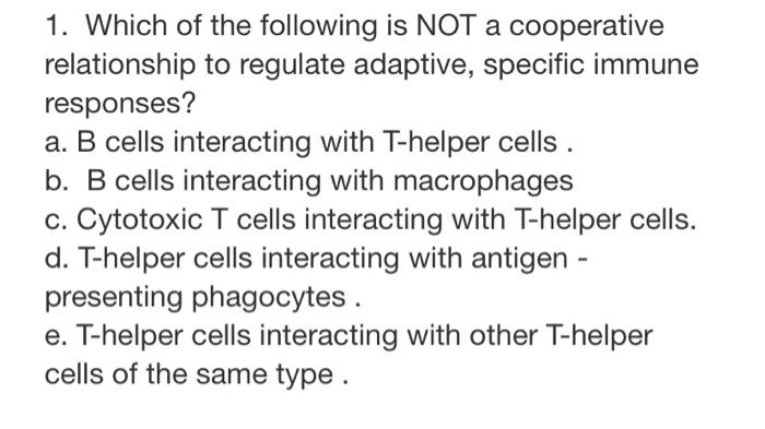 A B Cells Interacting With T Helper Cells B B Cells Interacting With Macrophages C Cytotoxic T Cells Interacting W 2