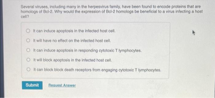 Several Viruses Including Many In The Herpesvirus Family Have Been Found To Encode Proteins That Are Homologs Of Bcl 2 1