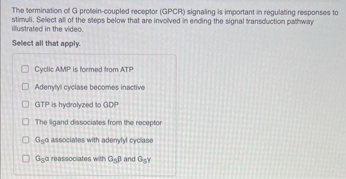 The Termination Of G Protein Coupled Receptor Gpcr Signaling Is Important In Regulating Responses To Stimuli Select A 1