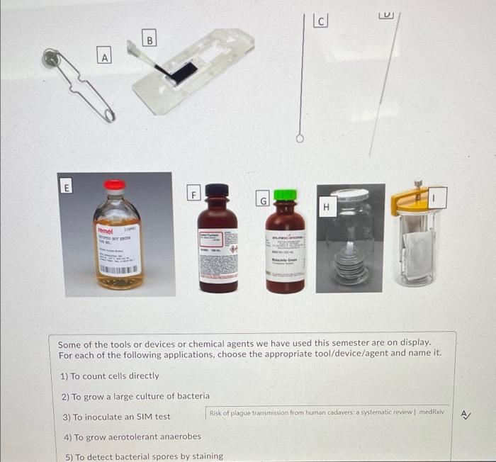 M Temel B F 2 To Grow A Large Culture Of Bacterial 3 To Inoculate An Sim Test G Cl 4 To Grow Aerotolerant Anaerobes 1
