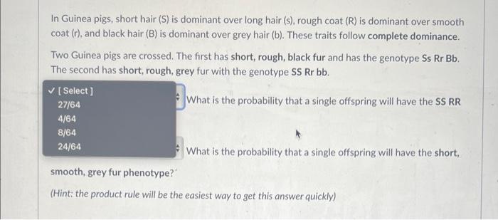 In Guinea Pigs Short Hair S Is Dominant Over Long Hair S Rough Coat R Is Dominant Over Smooth Coat R And Blac 2