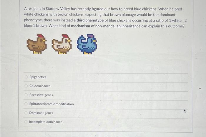 A Resident In Stardew Valley Has Recently Figured Out How To Breed Blue Chickens When He Bred White Chickens With Brown 1