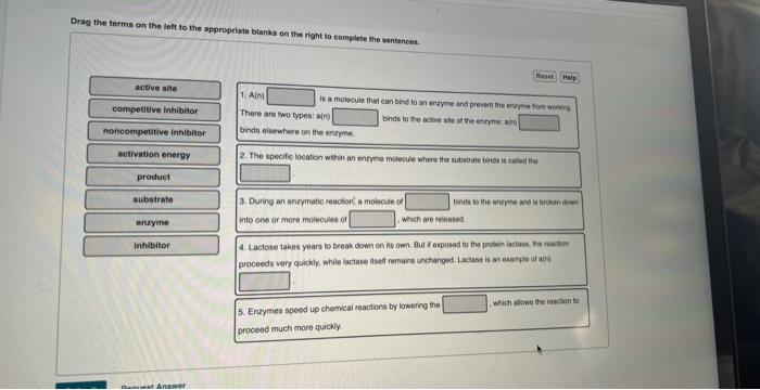 Drag The Terms On The Left To The Appropriate Blanks On The Right To Complete The Sentences Active Site Competitive Inh 2