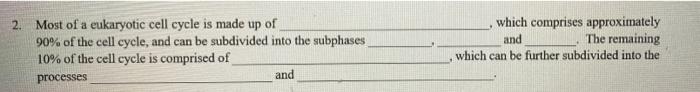 2 Most Of A Eukaryotic Cell Cycle Is Made Up Of 90 Of The Cell Cycle And Can Be Subdivided Into The Subphases 10 Of 1