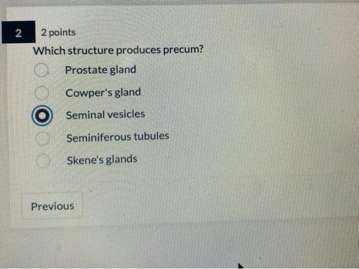 2 2 Points Which Structure Produces Precum Prostate Gland Cowper S Gland Seminal Vesicles Seminiferous Tubules Skene S 1