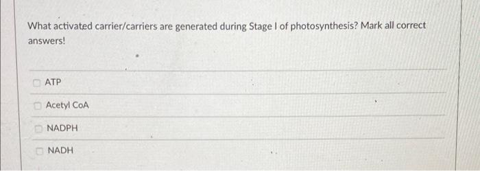 What Activated Carrier Carriers Are Generated During Stage 1 Of Photosynthesis Mark All Correct Answers Atp Acetyl Coa 1
