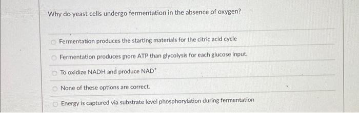 Why Do Yeast Cells Undergo Fermentation In The Absence Of Oxygen Fermentation Produces The Starting Materials For The C 1