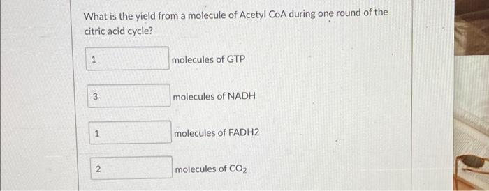What Is The Yield From A Molecule Of Acetyl Coa During One Round Of The Citric Acid Cycle 1 3 1 2 Molecules Of Gtp Mole 1
