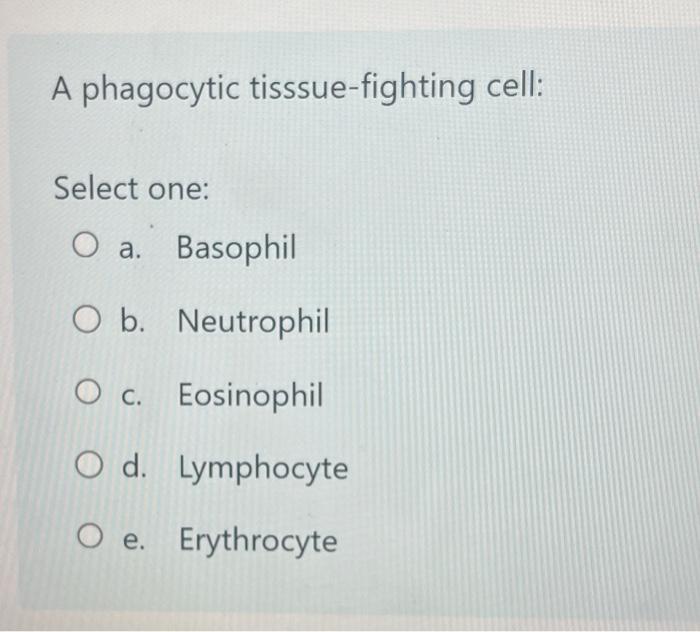 The Immune System Is Specialized To Defend The Body Against Select One O A Phagocytes O B Antigens O C Monocytes O 4