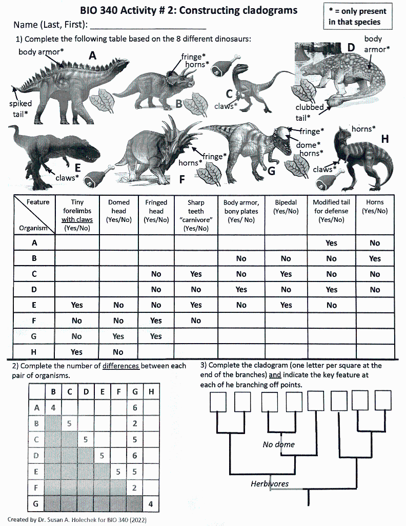 Name Last First 1 Complete The Following Table Based On The 8 Different Dinosaurs Body Armor A Spiked Tail Featu 1