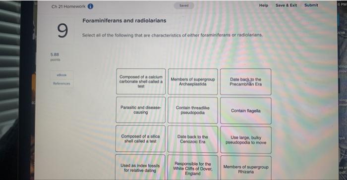 Ch 21 Homework 9 5 88 Points Composed Of A Calcium Carbonate Shell Called A Test Foraminiferans And Radiolarians Select 1