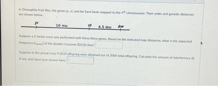 In Drosophila Fruit Flies The Genes Jv St And Bw Have Been Mapped To The 4th Chromosome Their Order And Genetic Dist 1