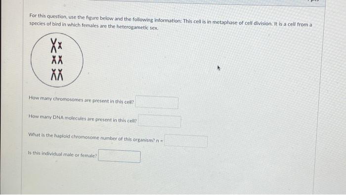 For This Question Use The Figure Below And The Following Information This Cell Is In Metaphase Of Cell Division It Is 1