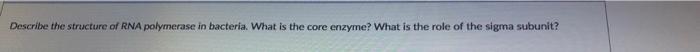 Describe The Structure Of Rna Polymerase In Bacteria What Is The Core Enzyme What Is The Role Of The Sigma Subunit 1