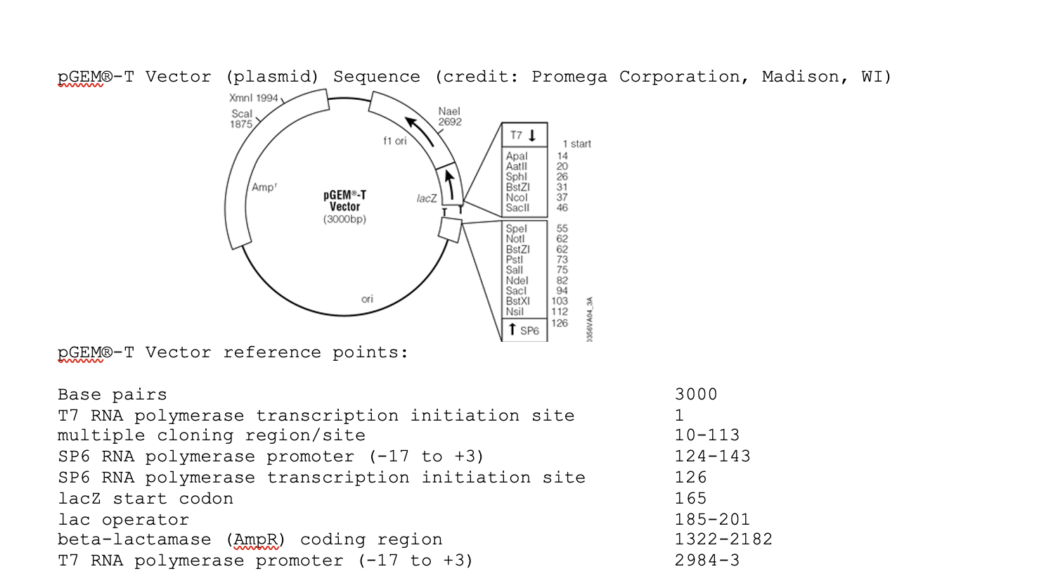 Ogem T Vector Plasmid Sequence Credit Promega Corporation Madison Wi Xmnl 1994 Scal 1875 Amp Pgem T Vector 300 1