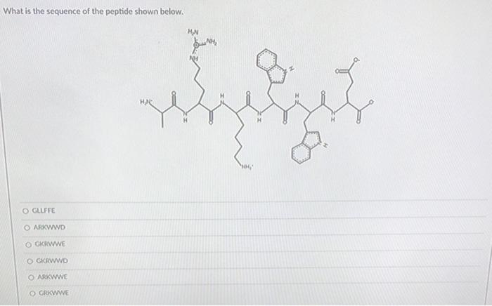 What Is The Sequence Of The Peptide Shown Below O Gllffe O Arkwwd O Gkrwwe Ogkrwwd O Arkwwe O Grkwwe H N 1