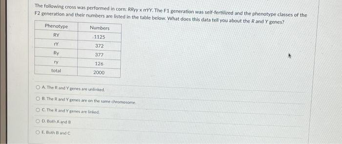 The Following Cross Was Performed In Corn Rryy X Myy The F1 Generation Was Self Fertilized And The Phenotype Classes O 1